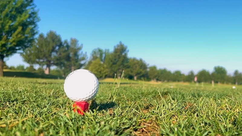 A White Golf Ball Sits on A Red Tee on A Grassy Course